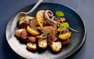 octopus fricassee
